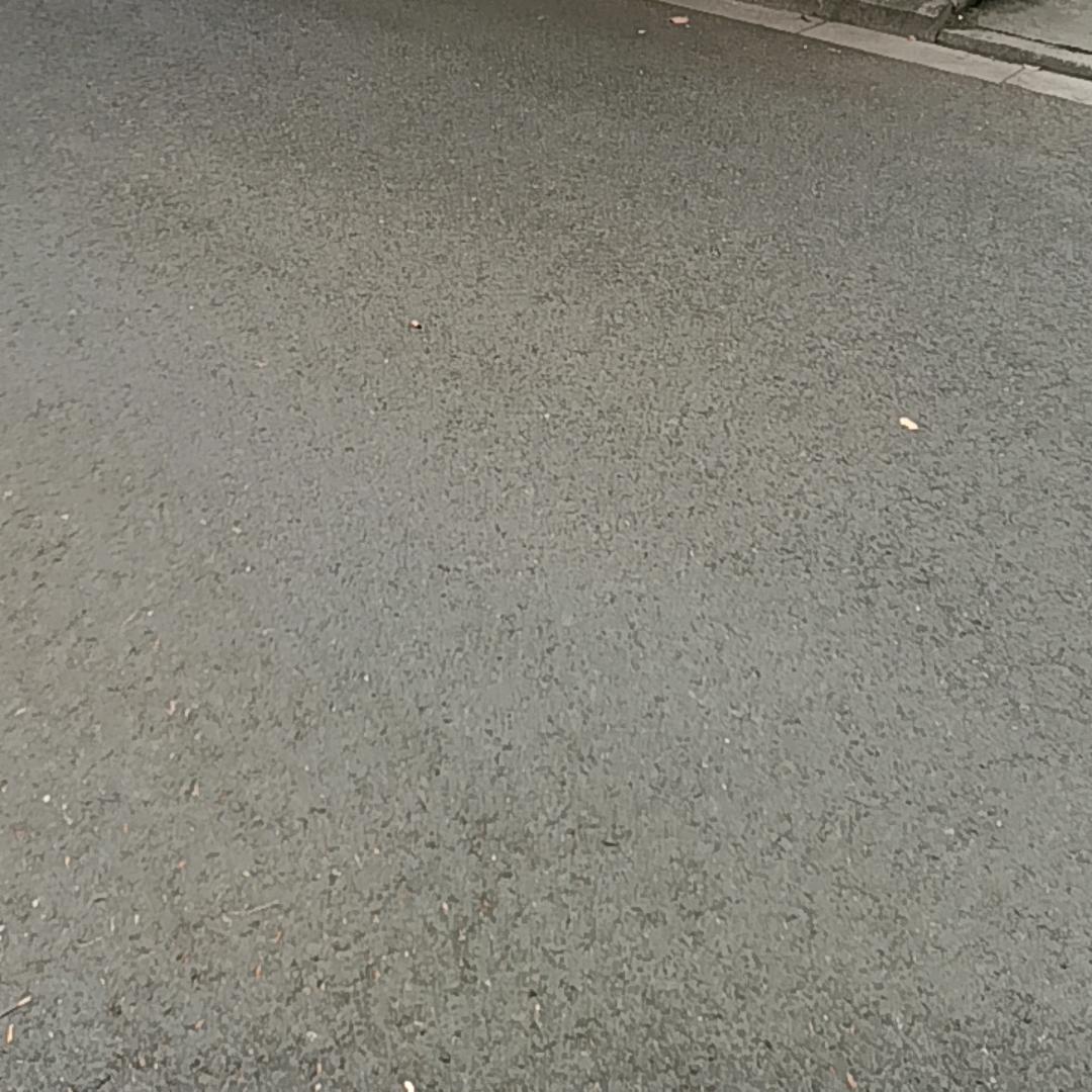 愿生活温柔以待
