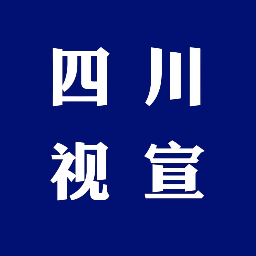 四川视宣