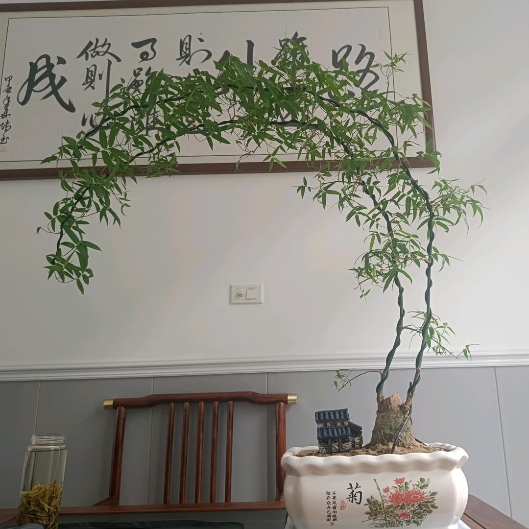 、҈༄香湮ꦿ᭄༄烈酒ꦿ᭄༼҈施工内外墙漆