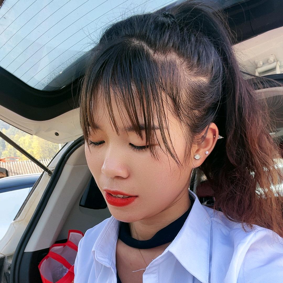 琴宝