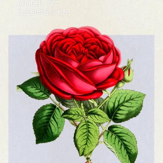 贵阳人李家四丫头远嫁保定唐县耶