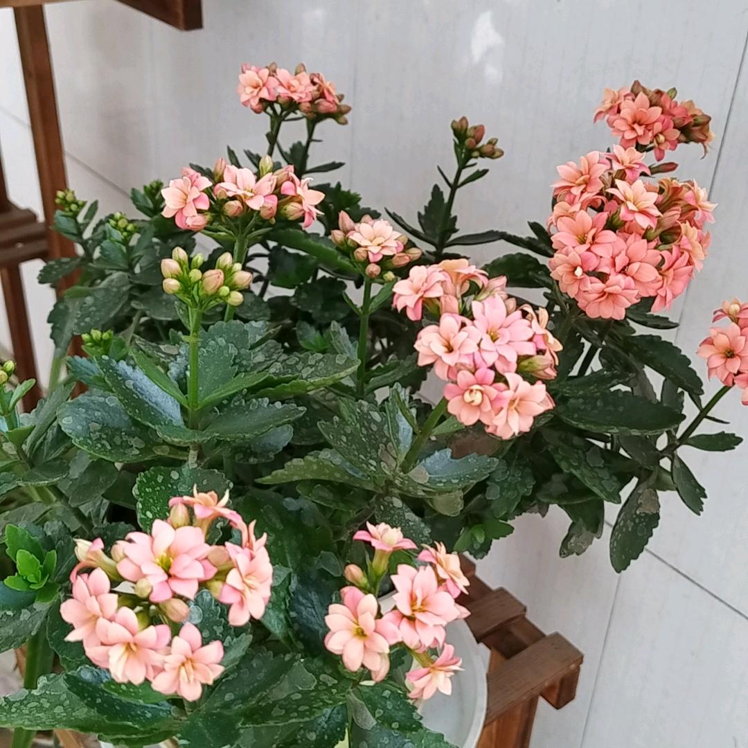 游山玩水的心