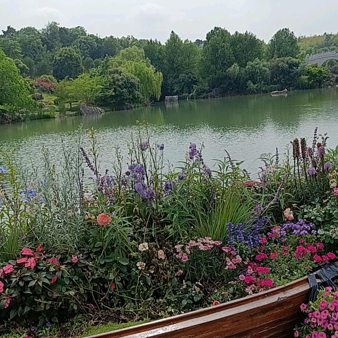 天上飘来一片云