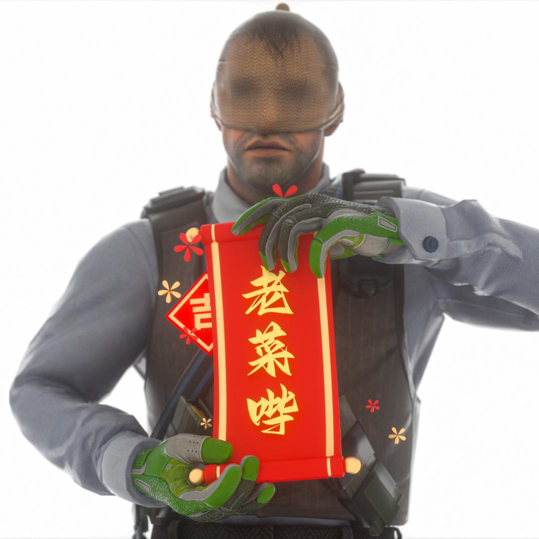 挺大岁数的老菜哔