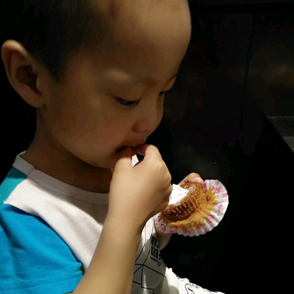 自闭症博博的日常生活（金毛长年出售）