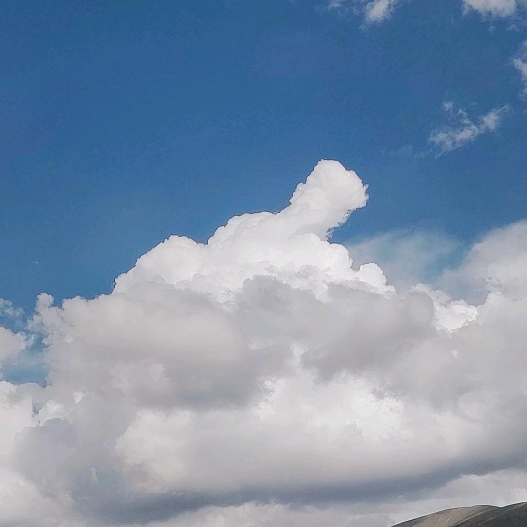 公山羊
