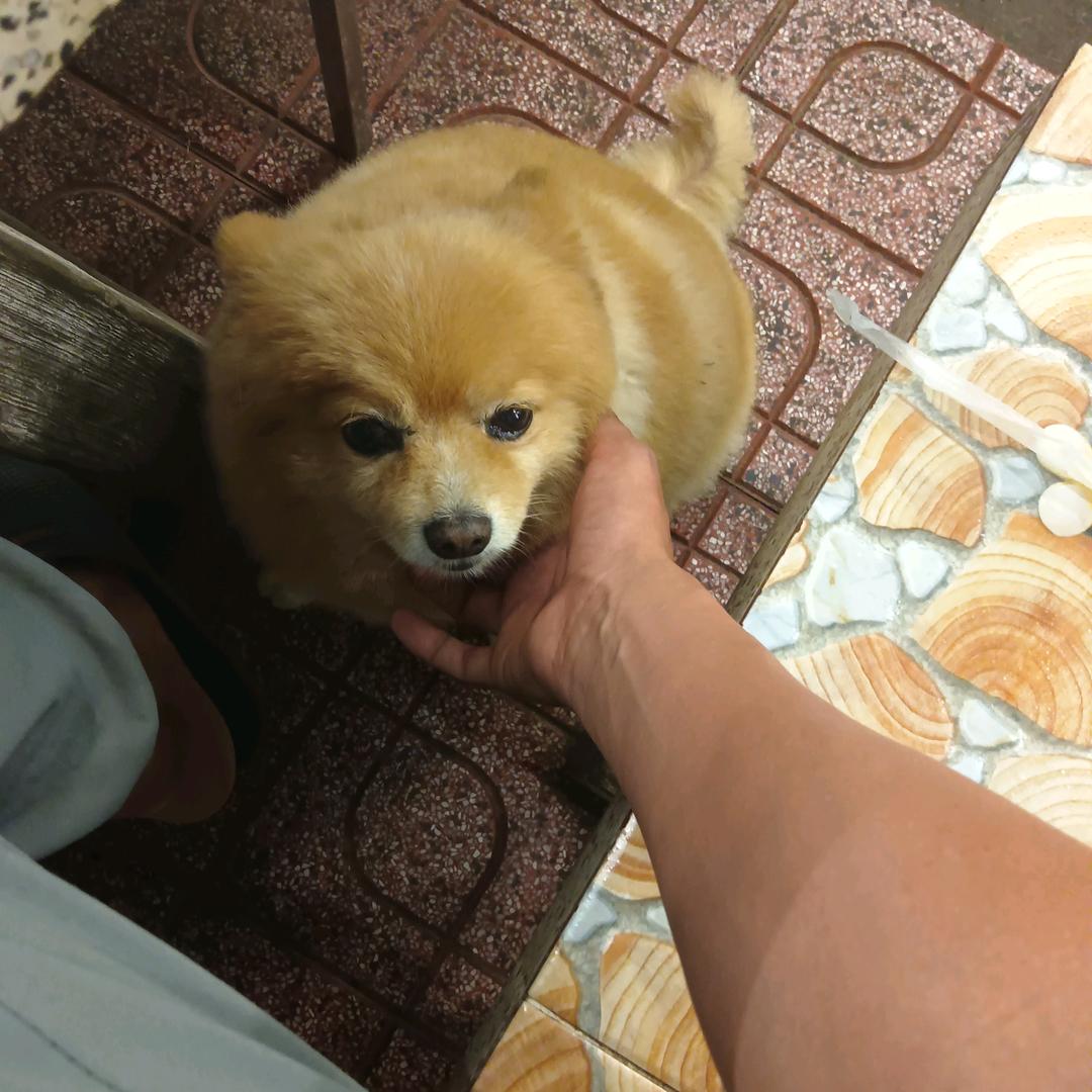 小雅万岁