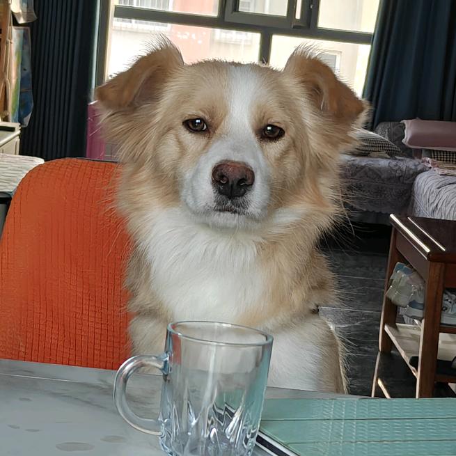 这个祖宗叫大美