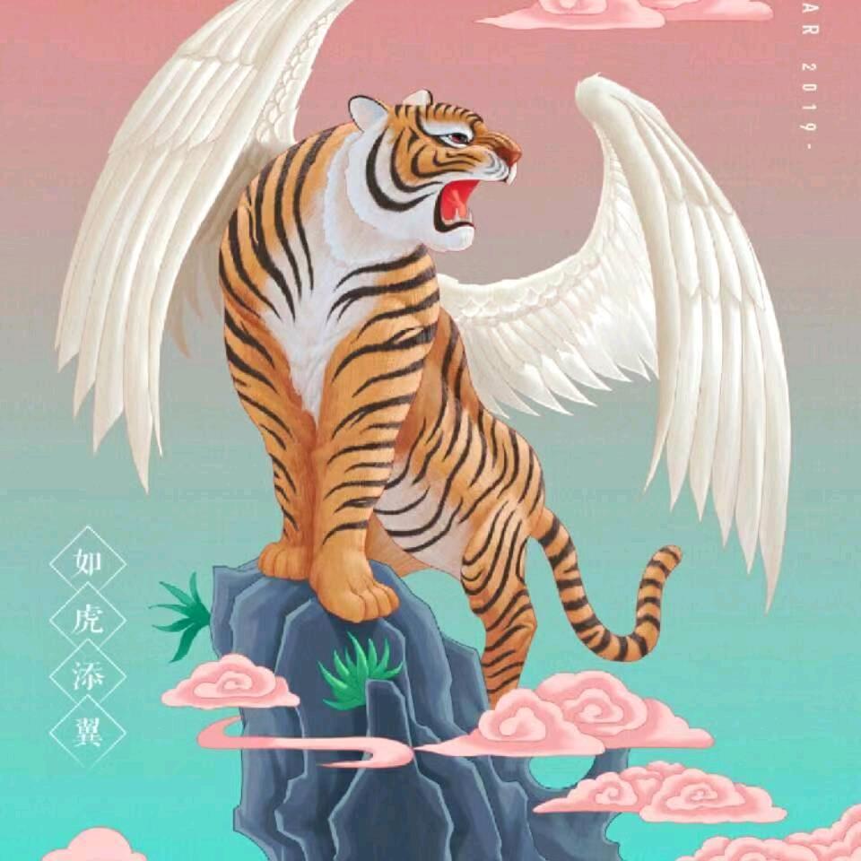 何必讨好