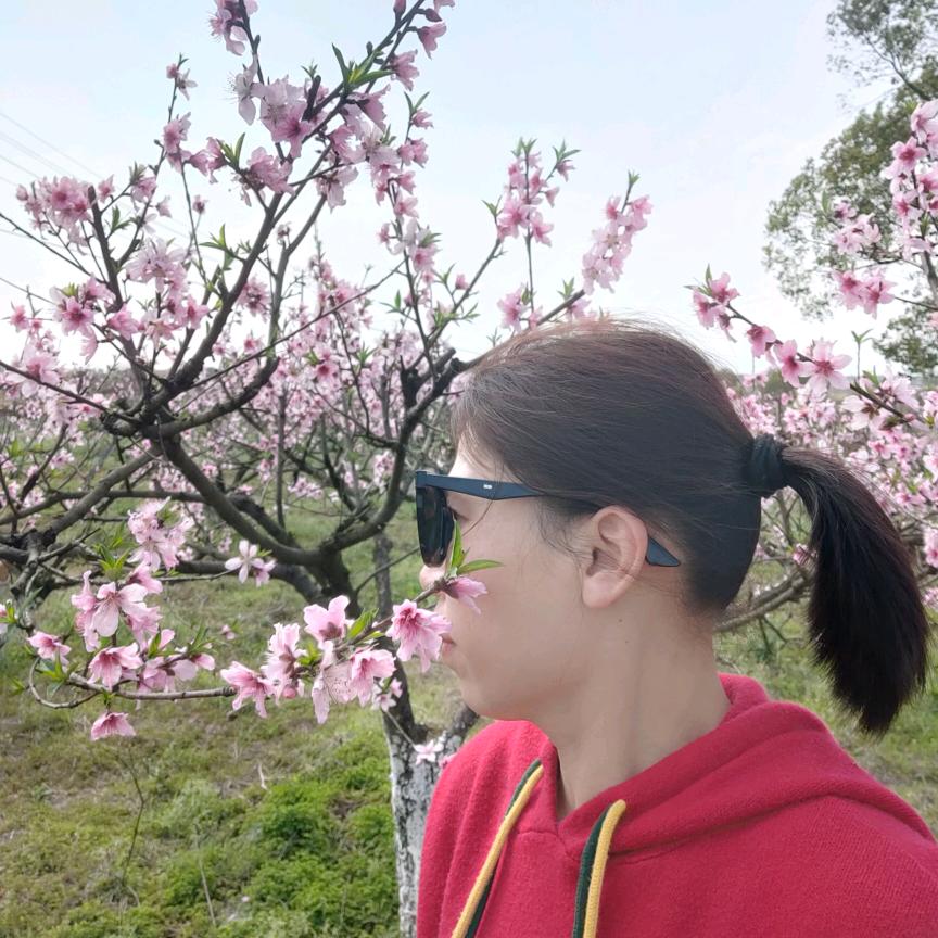 泰和胡姐姐