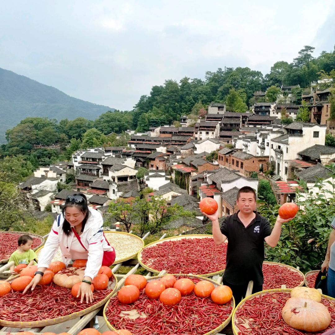 小马哥搞搞搞种植