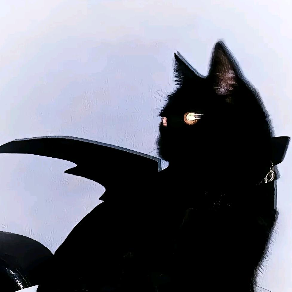 哈吉.喵好🐱