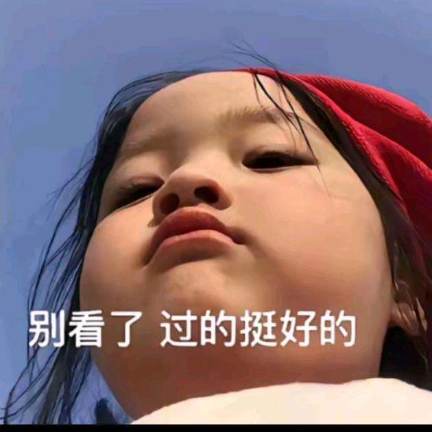嗑瓜子的猫🐱