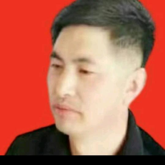 王新林