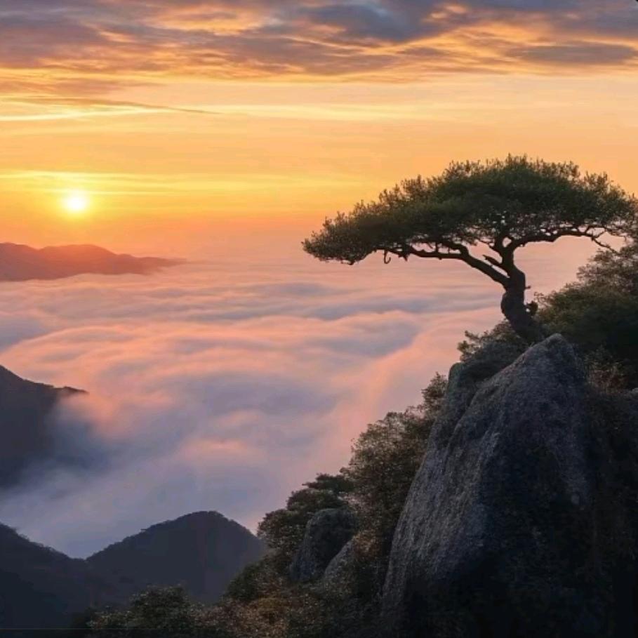 荧屿