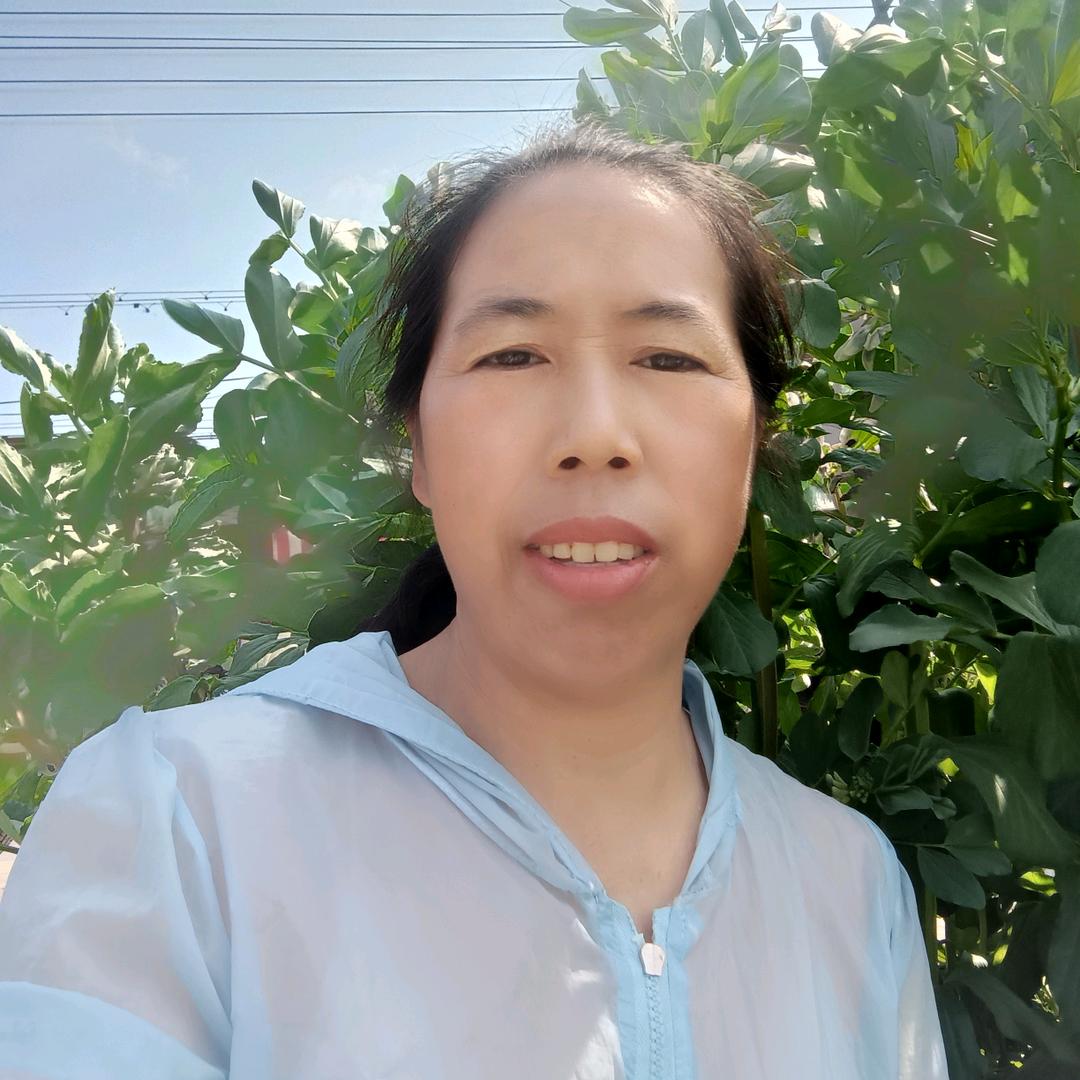 如之短视频