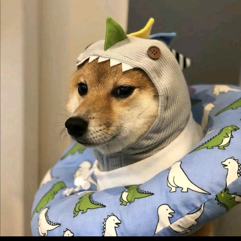 汪汪