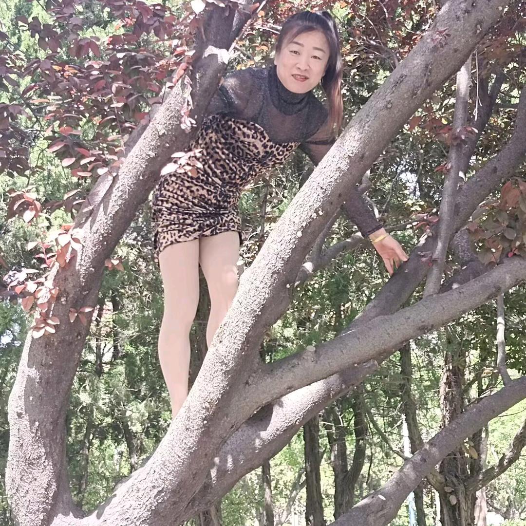 美人鱼
