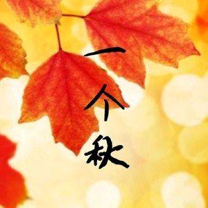 枫叶@🍁