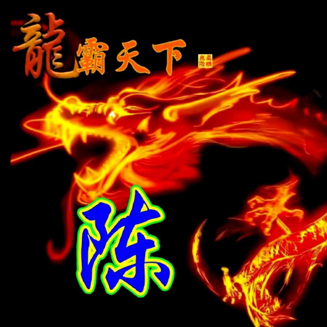 卡车人👍陈