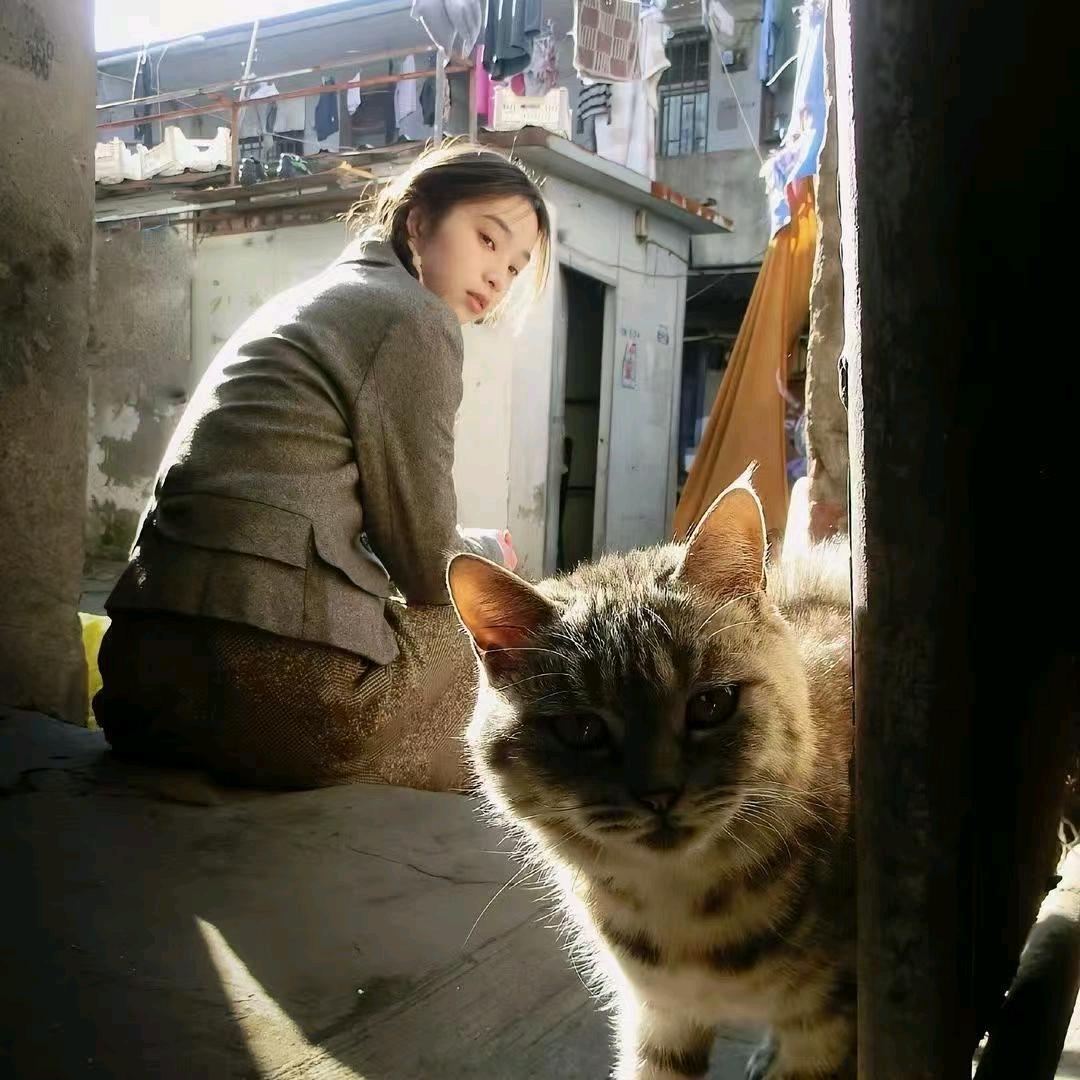 小霞优选