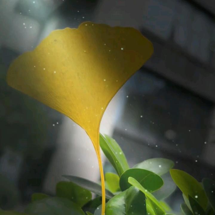 無💫