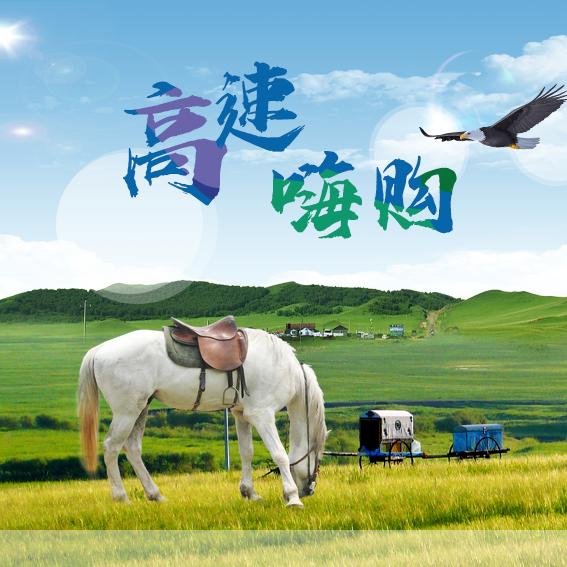 高速嗨购企业店