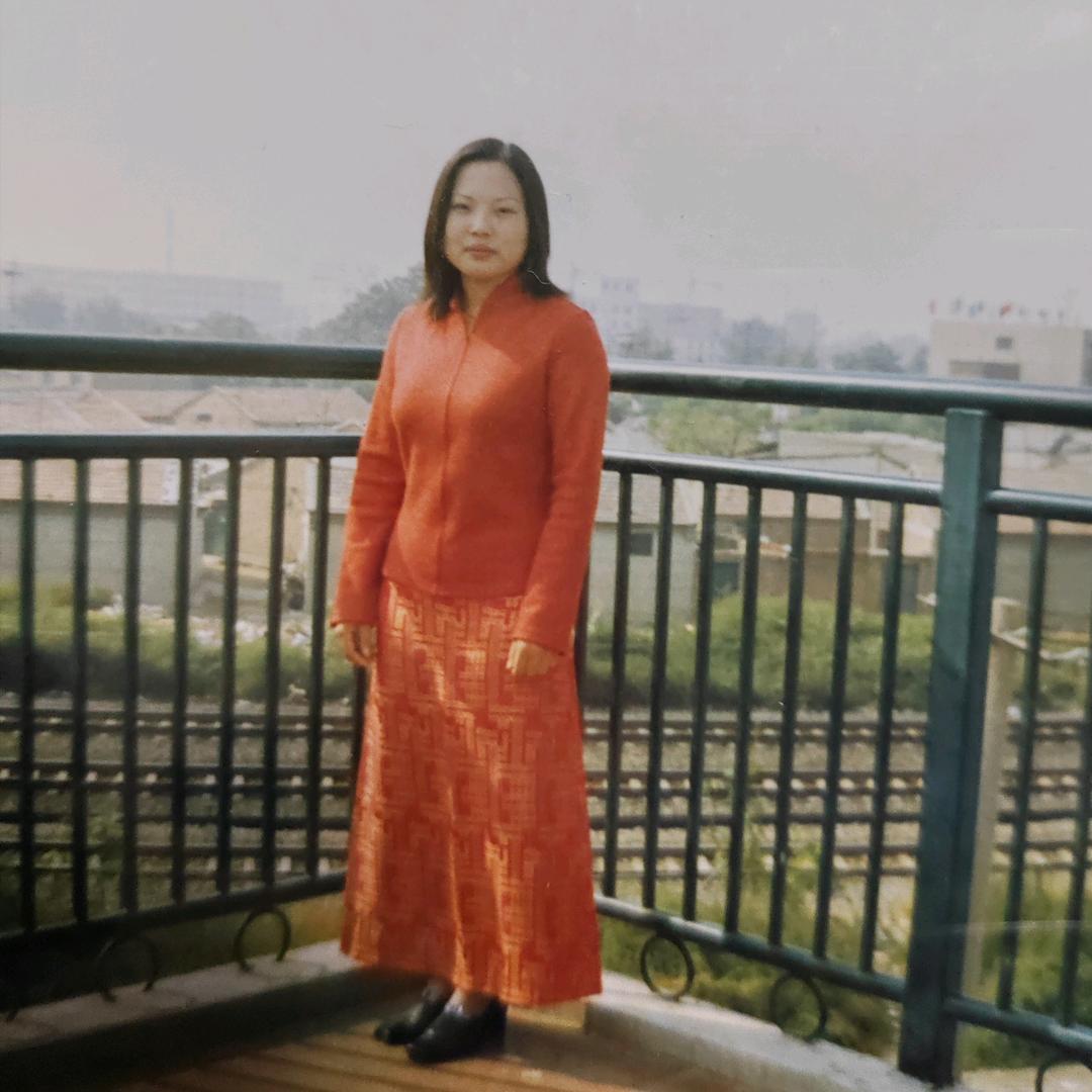 飞歌燕舞-燕子🍇🍇🍇🍇🍇