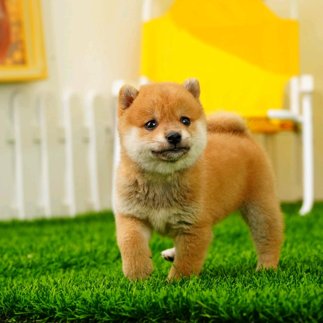 一人一烟，一世界