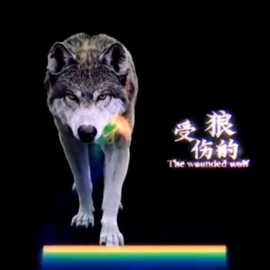 🇨🇳狼来了🚥