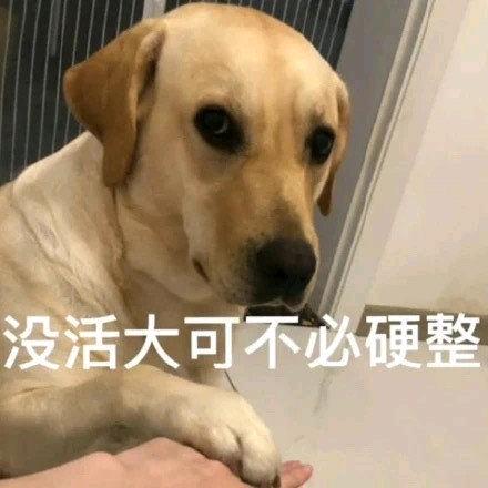 斯莫拽根