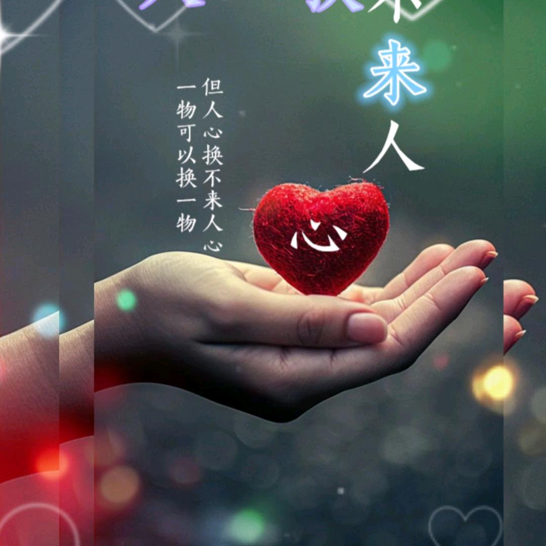 余生随心