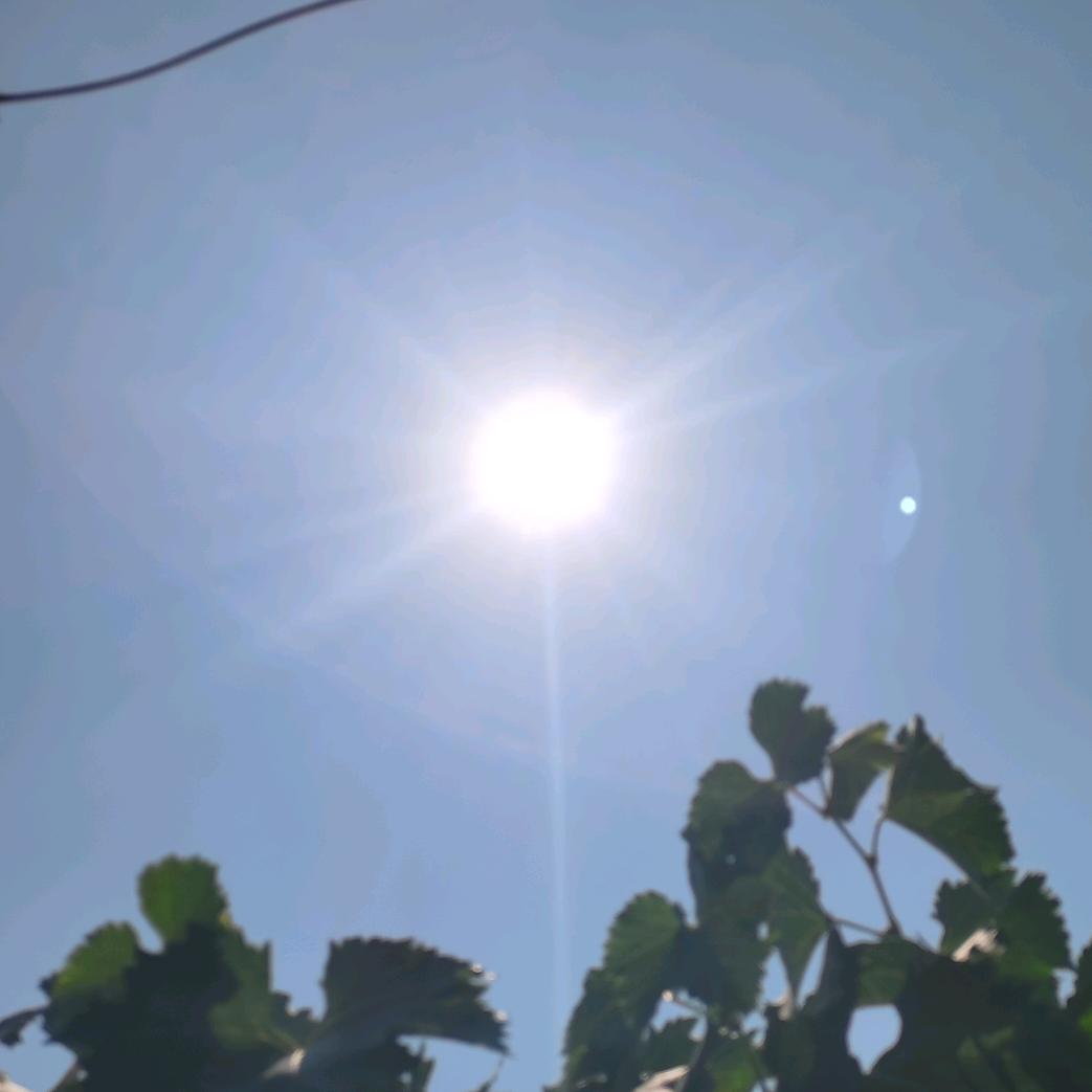 静慈