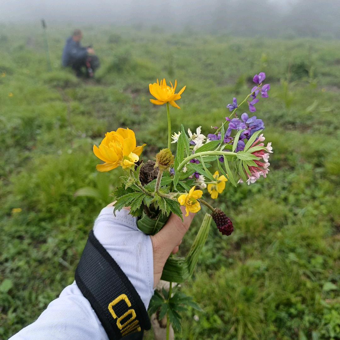 人间最美四月天
