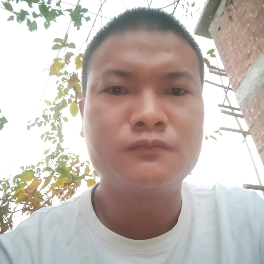 杨建武
