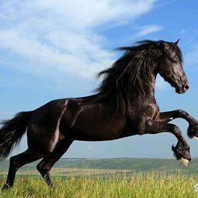 美丽的蜡烛！！！