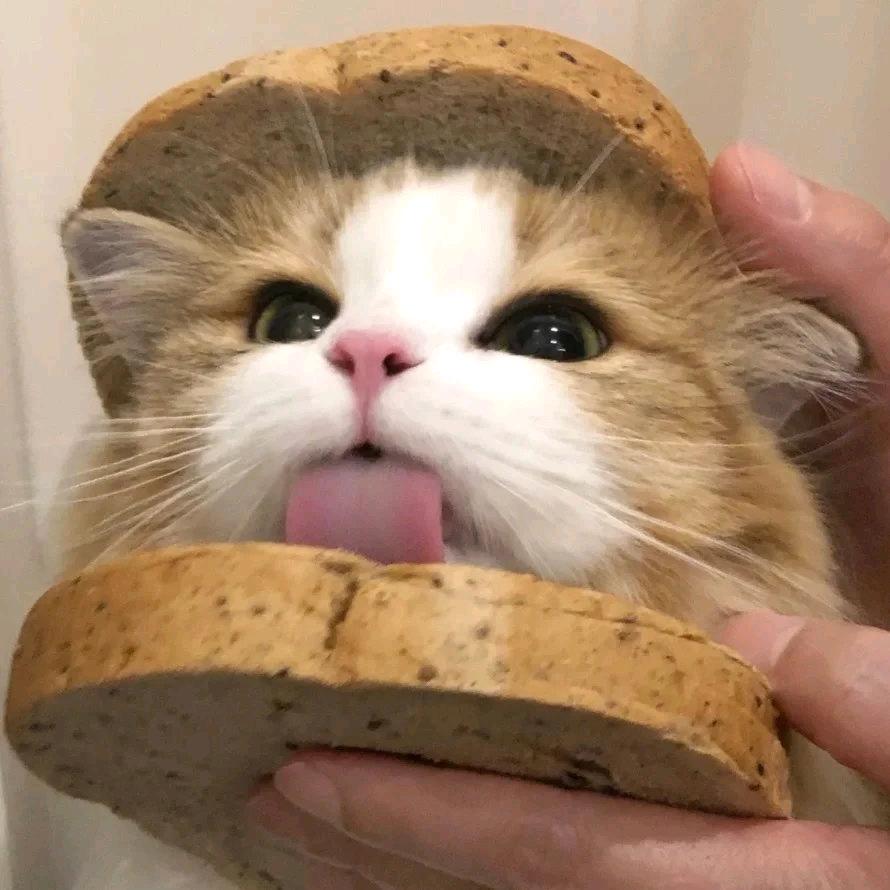 呆刀虾仁不眨眼