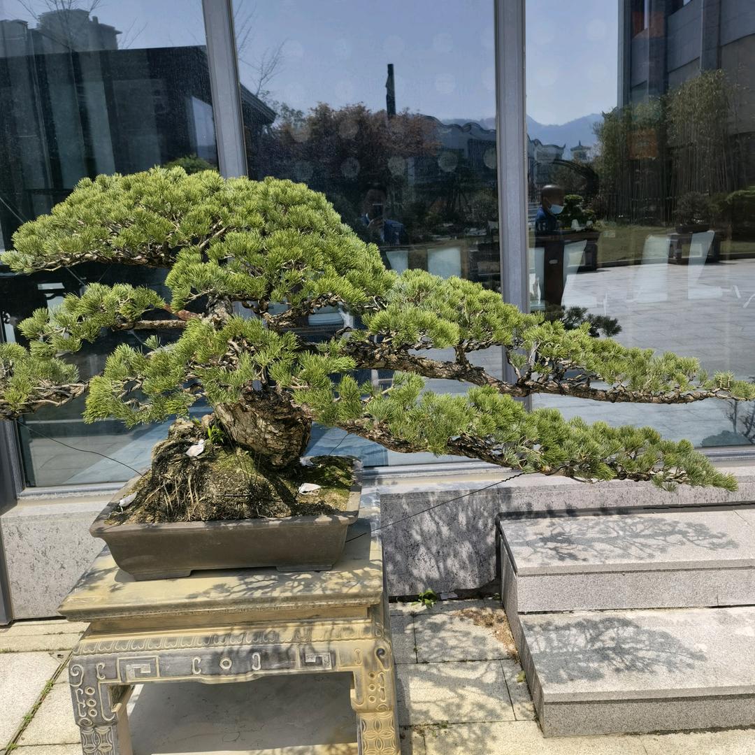 心依旧