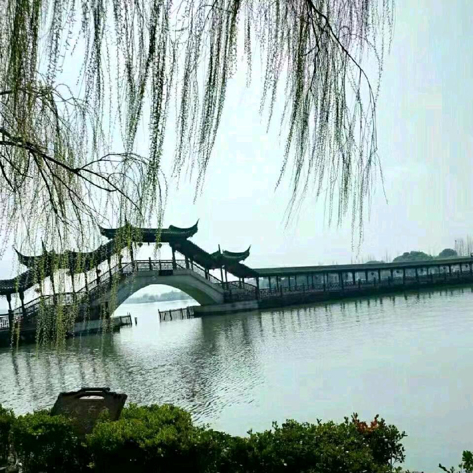 @农村娃（努力前行）