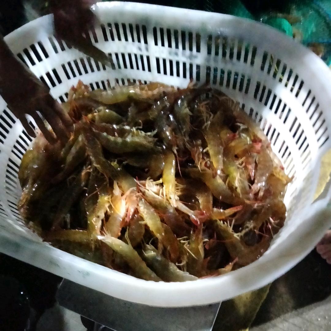唐唐海鲜（收购放笼大虾，海水鱼等）