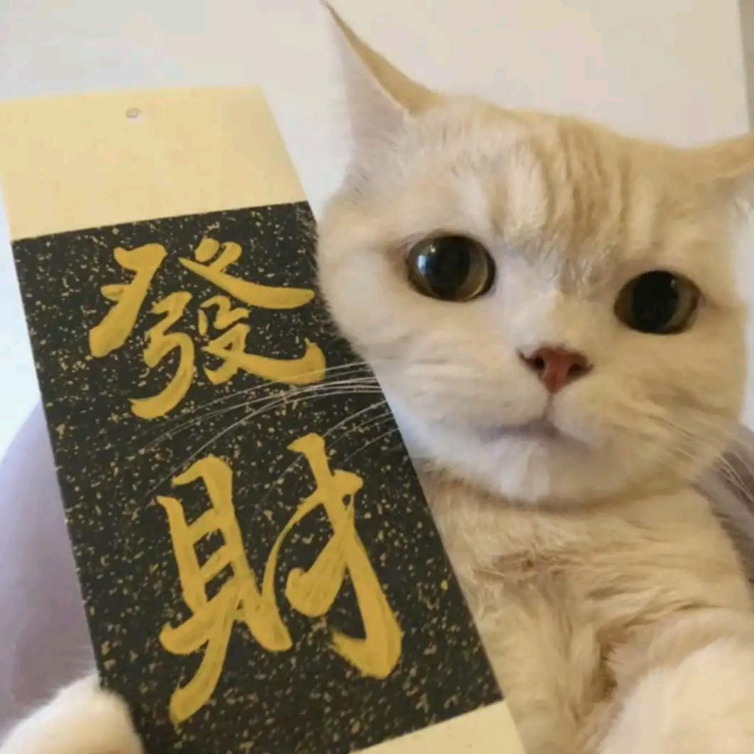 路名新头像