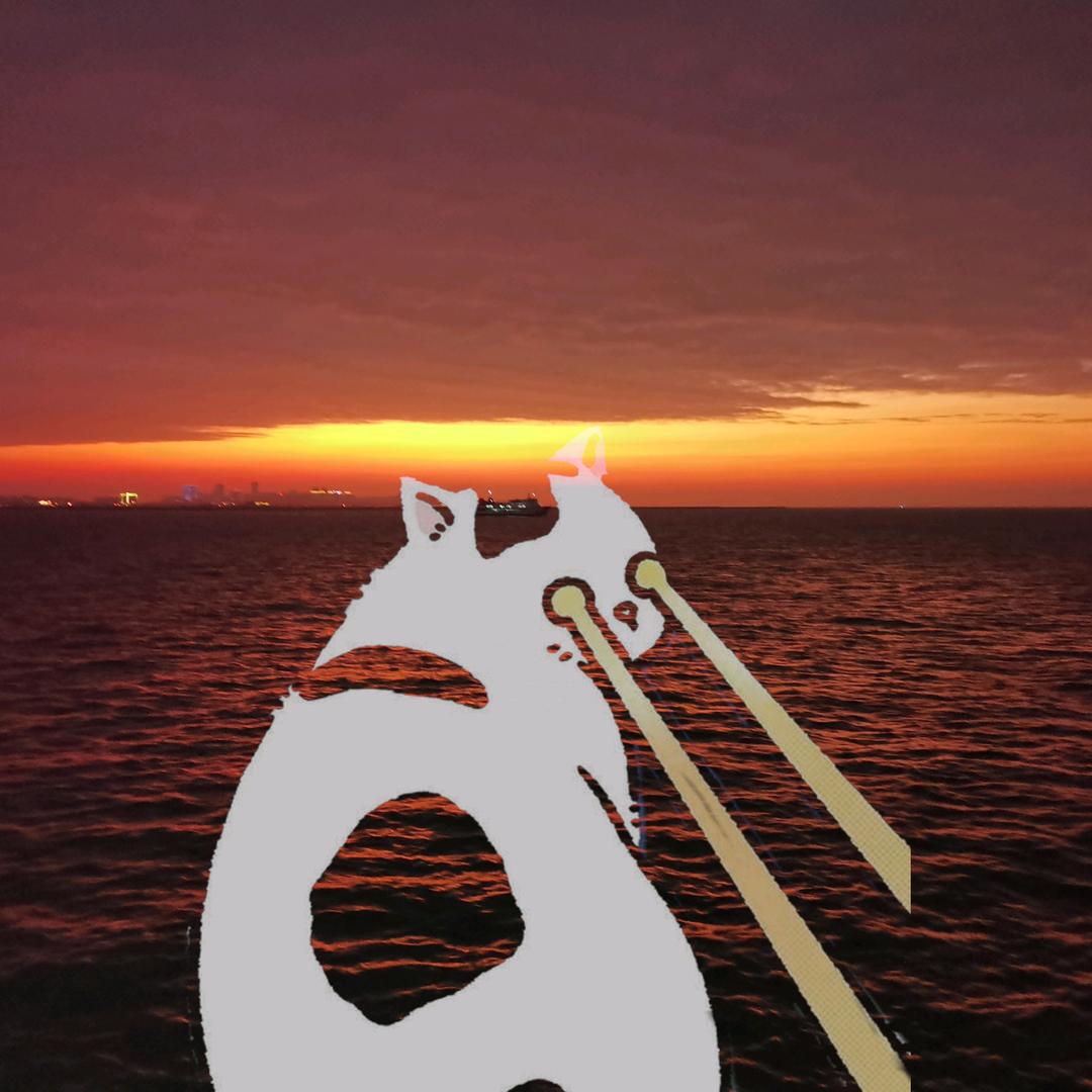 椒盐a66