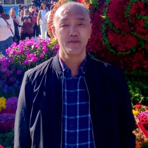 雁南飞