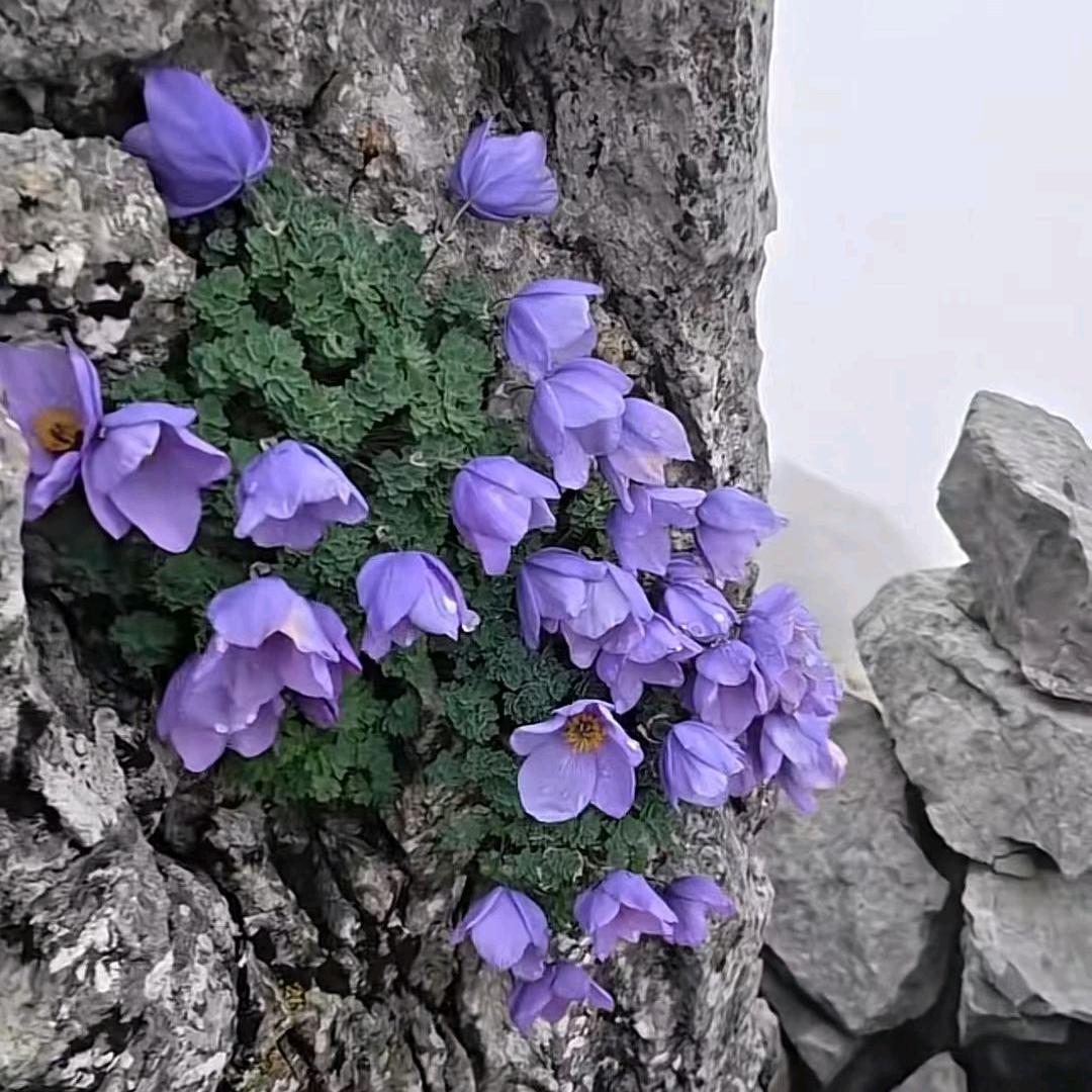 年年