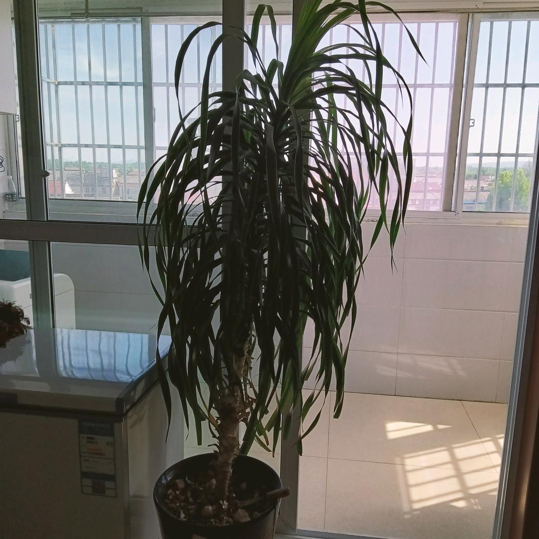 南六新佳苑