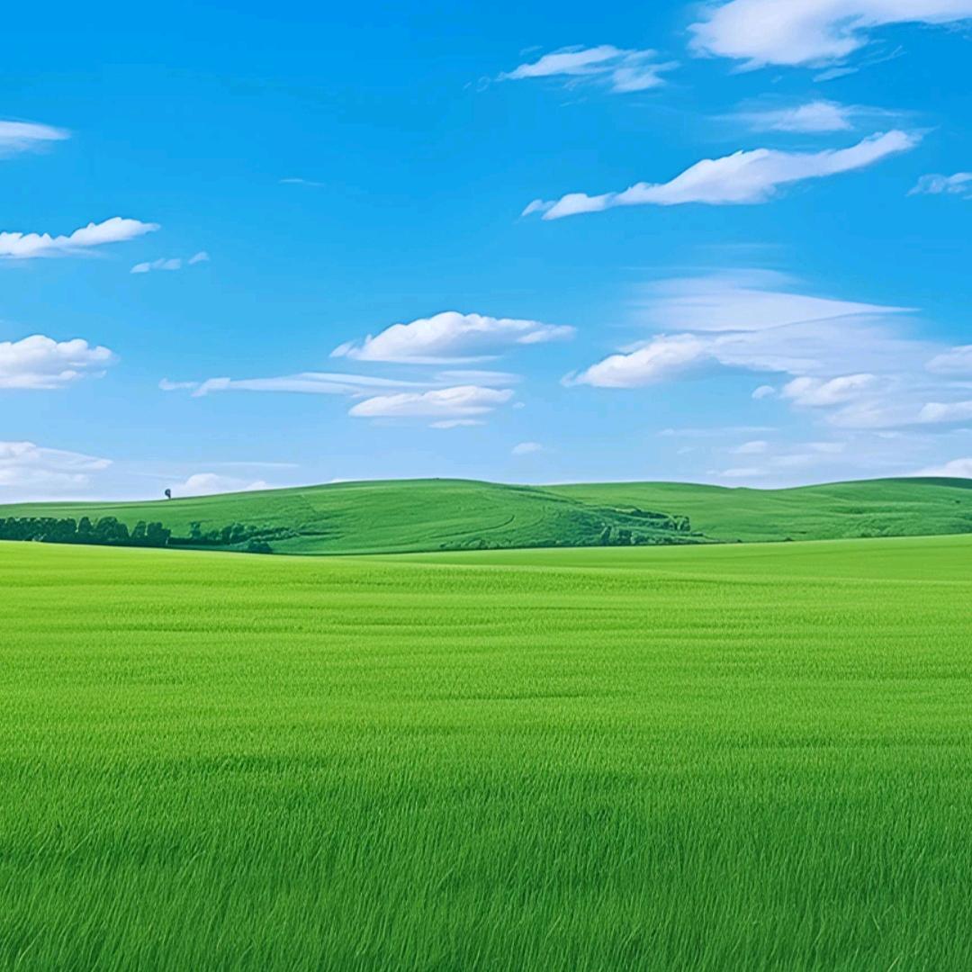 才哥