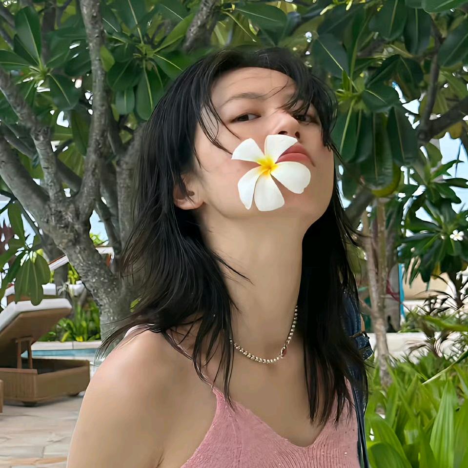 呆呆贝