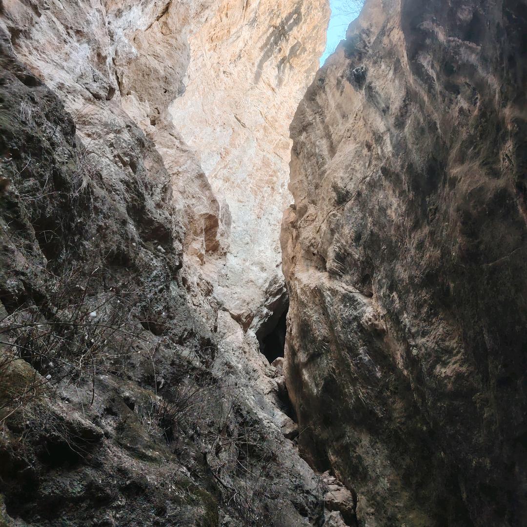 社会复杂爷坚但