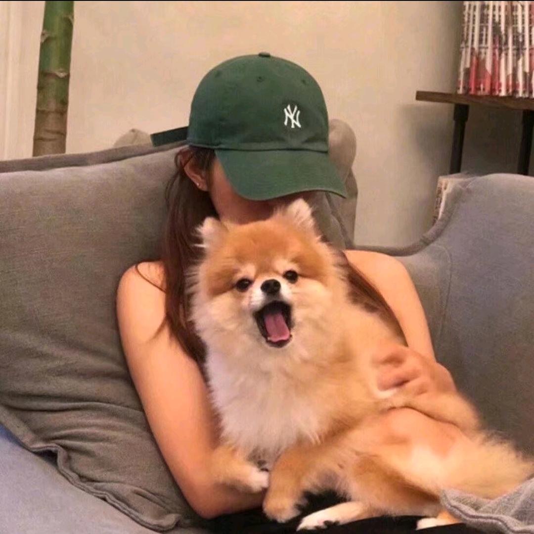 「丝叙 SILK STORY」