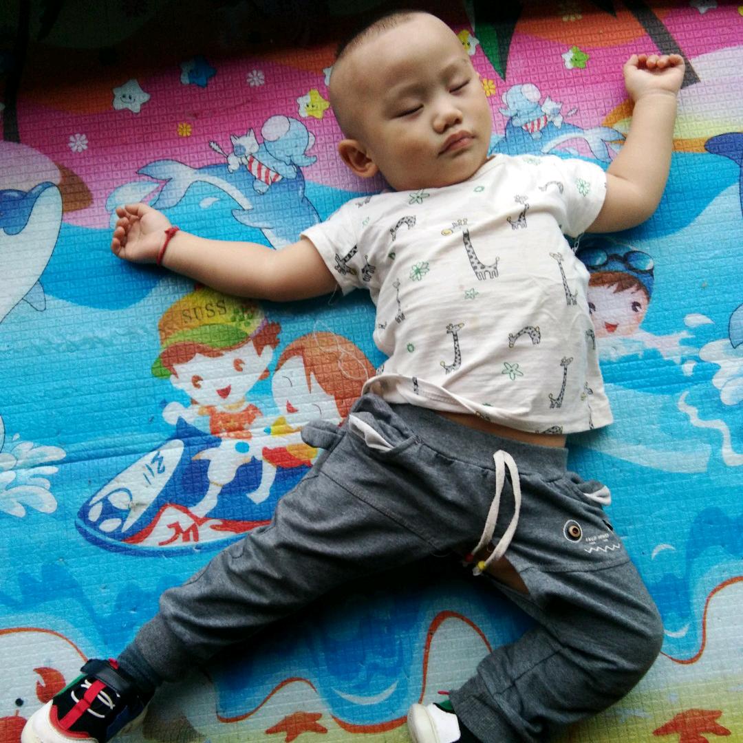 货物运输《李兴友》